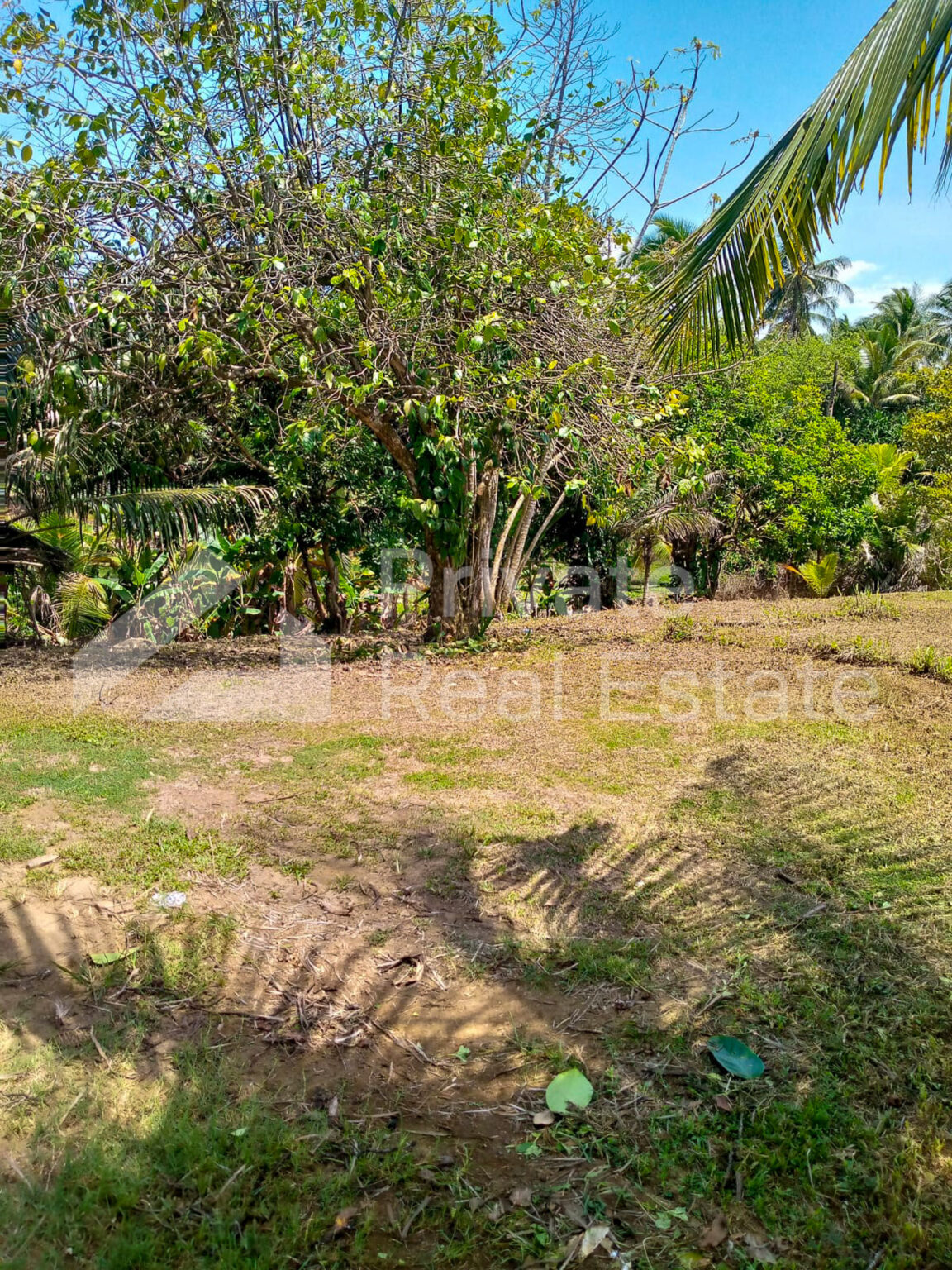 PRE58-7111118000002623067